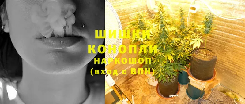 купить наркоту  Колпашево  блэк спрут сайт  Бошки Шишки Ganja 